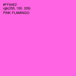#FF64E2 - Pink Flamingo Color Image
